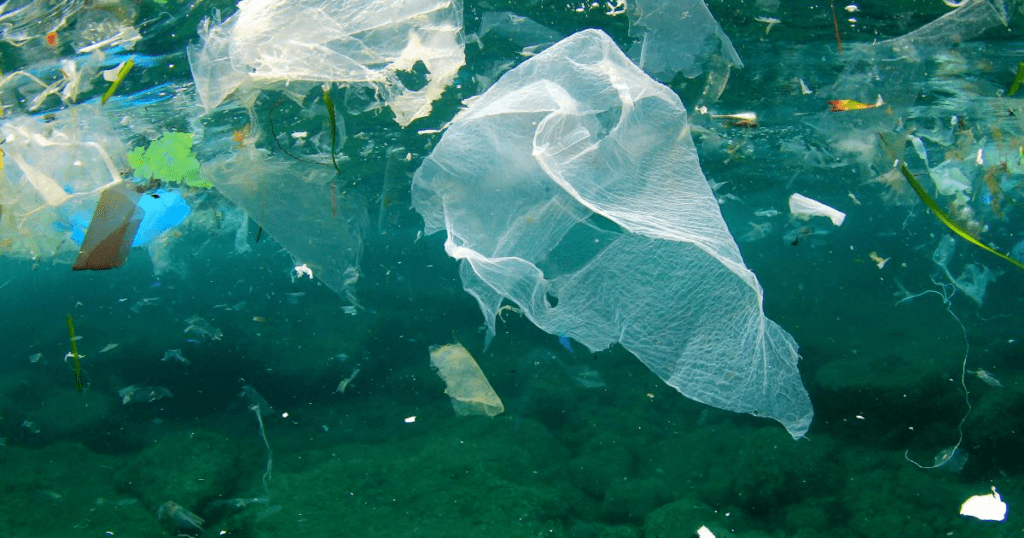 plastic waste in water, the importanace of making Sustainable choices
