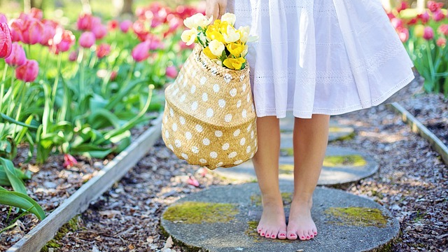 DIY planting for beginners, how to sew a wildflower garden