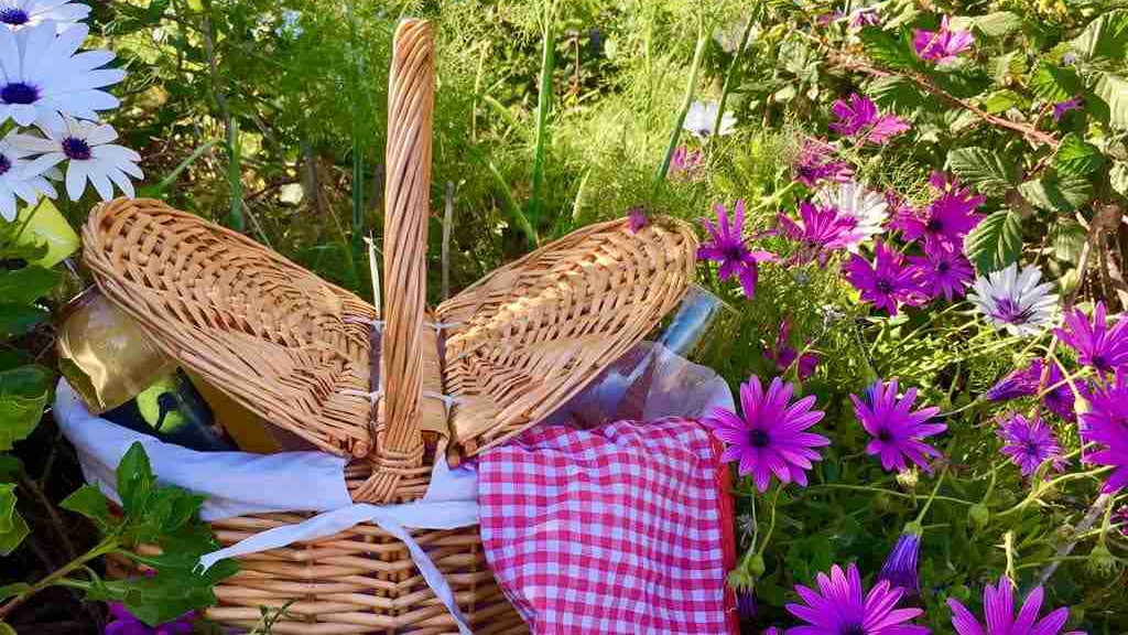 sustainable picnic basket