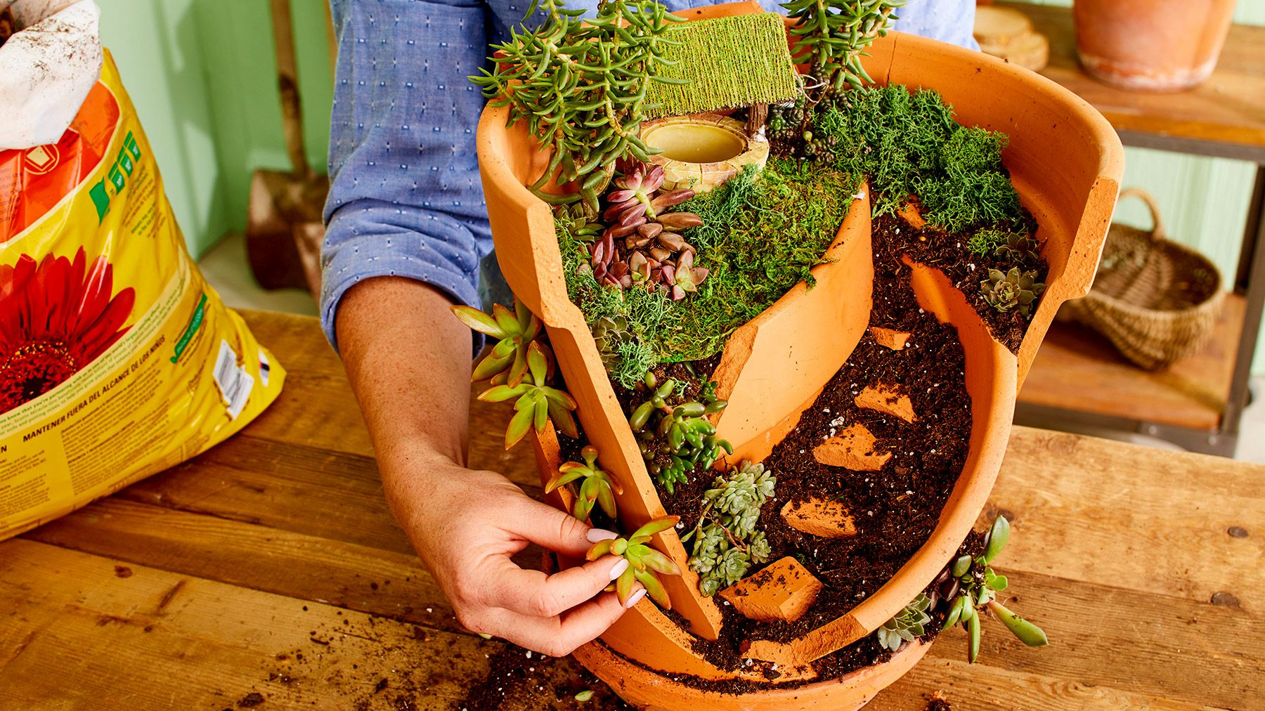 diy fairy garden planter, repurposed garden planters, kids fairy garden ideas