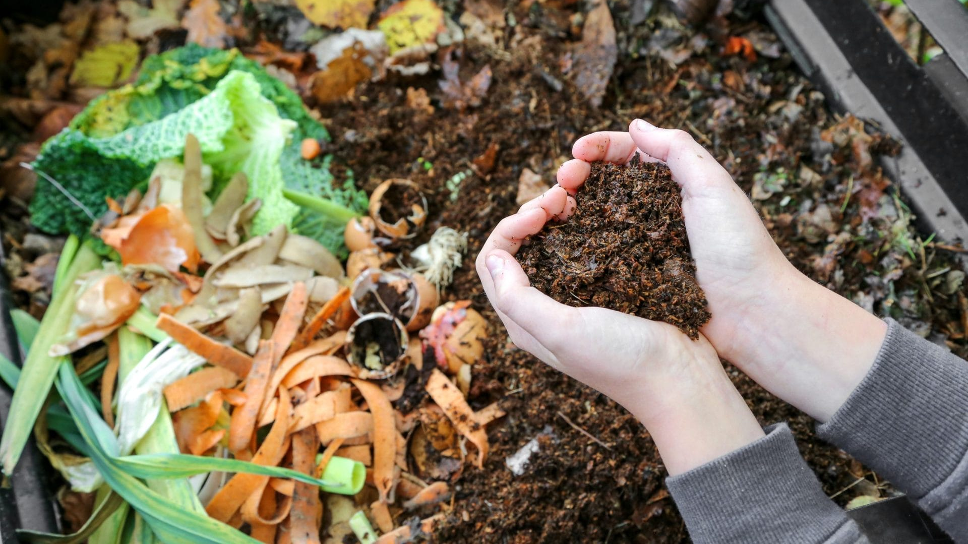 indoor composting guide, DIY composters, make your own composter