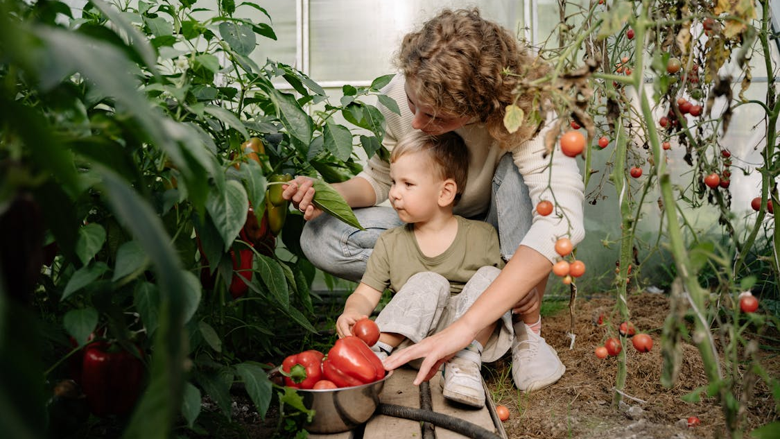 Sustainable gardening for children